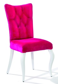 Стул для столовой Kalune Design Rosa 813CLK2710, матовый, розовый, 55 см x 56 см x 84 см