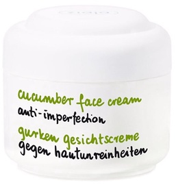 Sejas krēms Ziaja Cucumber, 50 ml