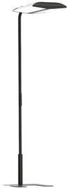 Põrandalamp Biownlight SL-B6-2765-1-ST4B, LED