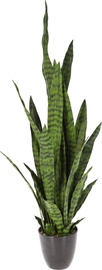 Dirbtinis augalas vazone Atmosphera, žalia, 92 cm