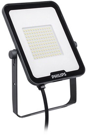 Prožektors Philips Ledinaire Floodlights BVP164, 50 W, 5500 lm, 3000 °K, IP65, pelēka