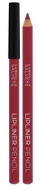 Huulepliiats Gabriella Salvete Lipliner 03, 0.25 g