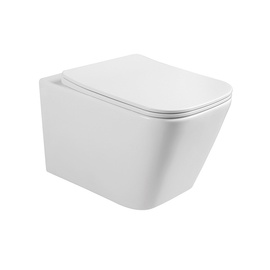 Seinapealne WC-pott Domoletti TK525, kaanega, 440 mm x 430 mm