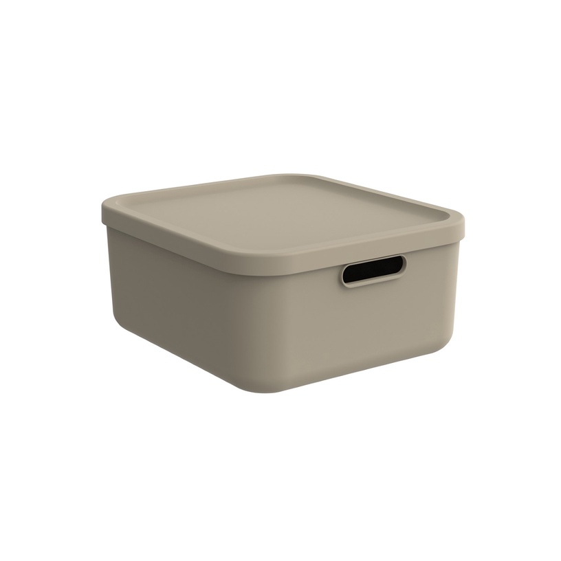 Kaanega hoiukarp Rotho Albula, 20 l, beež, 39.5 x 35.5 x 17.7 cm