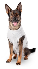 Одежда для собак Karlie, серый, 32 см