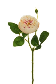 Kunstlill, roos, roheline, 75 cm