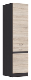 Kapp Domoletti JUNONA LINE, pruun/tamm, 0.5 m