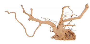 Akvaariumi dekoratsioon Zolux Spider Root, pruun, 53.5 cm