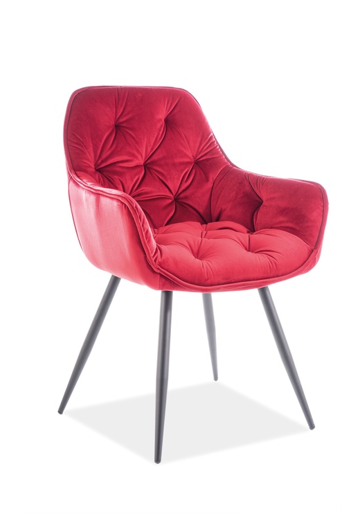 Стул для столовой Modern Cherry Velvet, красный, 43 см x 57 см x 87 см