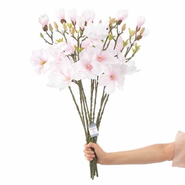 Mākslīgie ziedi magnolija AmeliaHome Magnoli, zaļa/krēmkrāsa, 690 mm