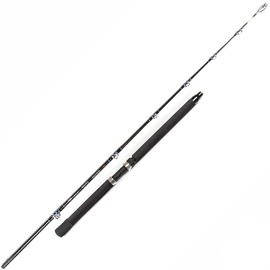 Спиннинг Surf Master Corrida IM-6, 215 см, 575 г