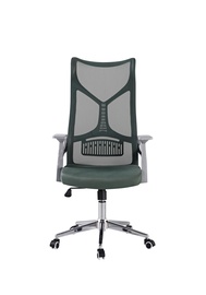 Kėdė Domoletti DR-OC-0417, 63 x 66 x 110 - 120 cm, žalia