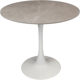Söögilaud MN M-711-2 3510055, valge/hall, 800 mm x 800 mm x 750 mm