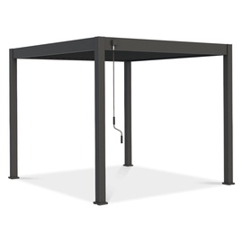 Varikatus Pergola Elegance, 309 cm x 256 cm, antratsiit