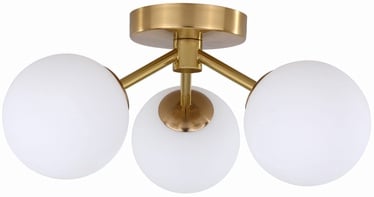 Lampa griesti Light Prestige Dorado 3, 120 W, G9