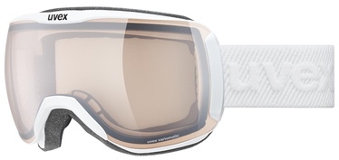 Лыжные очки Uvex Downhill 2100 V