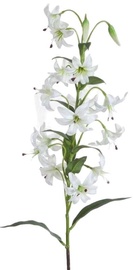 Искусственный цветок Eurofirany Natu 383, белый, 83 см