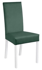 Valgomojo kėdė Campel Rain 16, balta/žalia, 53 cm x 47 cm x 98 cm