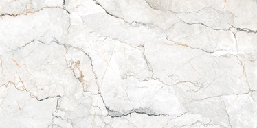 Плитка каменная масса Geotiles Sauvage 8429991765484, 600 мм x 1200 мм
