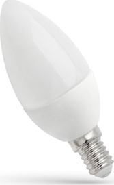 Лампочка Spectrum LED, B12, теплый белый, E14, 4 Вт, 320 лм