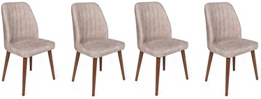 Ēdamistabas krēsls Kalune Design Alfa 465 V4 974NMB1563, matēts, valriekstu/gaiši brūna, 49 cm x 50 cm x 90 cm, 4 gab.