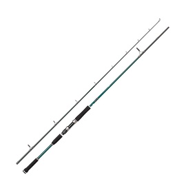 Spinings Abu Garcia Beast X Pike 862 XH 1531520, 259 cm, 271 g, melna/zaļa