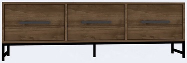 TV-laud Kalune Design Melody, pähklipuu, 40 cm x 160 cm x 50 cm