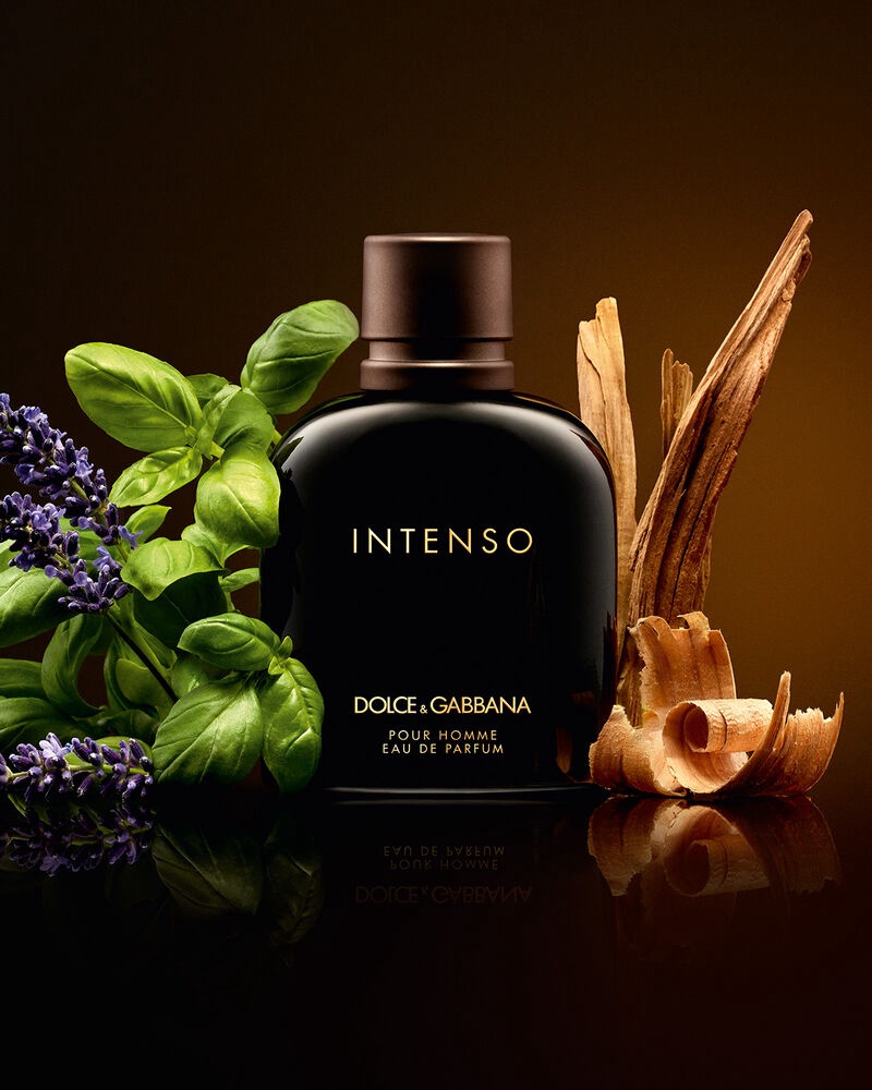 Intenso dolce gabbana pour homme outlet