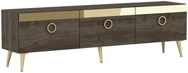 TV galds Kalune Design Safar, valriekstu, 150 cm x 45 cm x 30 cm