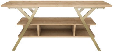 TV-laud Kalune Design Minerva, pruun/kuldne, 35 cm x 120 cm x 55 cm