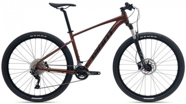 Dviratis kalnų Giant Talon 29 1­-GE 1 GE, 29 ", XL rėmas, rudas