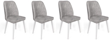 Valgomojo kėdė Kalune Design Alfa 498 V4 974NMB1574, matinė, balta/pilka, 49 cm x 50 cm x 90 cm, 4 vnt.
