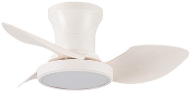 Griestu ventilators ar lampu CristalRecord Reel CCT, 20 W, 1 gab.