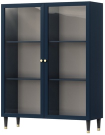 Шкаф-витрина Includo, синий, 120 см x 40 см x 155 см