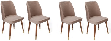 Ēdamistabas krēsls Kalune Design Hugo 384 V4 974NMB1596, zelta/bēša/valriekstu, 49 cm x 50 cm x 90 cm, 4 gab.