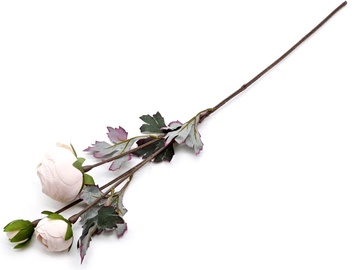 Искусственный цветок пион, кремовый, 640 мм