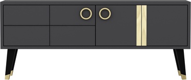 TV-laud Kalune Design Eagle, antratsiit, 120 cm x 50 cm x 30 cm