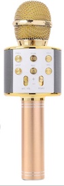 Детский микрофон RoGer Karaoke Speaker