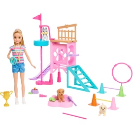 Кукла с аксессуарами Mattel Barbie Rescue Puppy Playground HRM10, 25 см