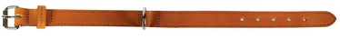 Kaelarihm koertele Zolux Leather Lined, liivakarva pruun, 350 mm x 16 mm