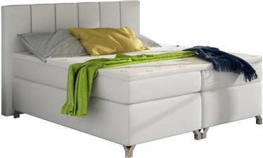 Gulta divvietīga Basilio Soft 17, 160 x 200 cm, balta, ar matraci