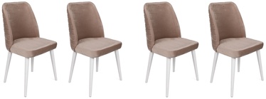 Ēdamistabas krēsls Kalune Design Tutku 324 V4 974NMB1613, matēts, balta/gaiši brūna, 49 cm x 50 cm x 90 cm, 4 gab.
