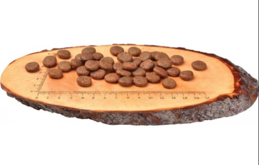 Sausā suņu barība Carnilove Adult, zivs, 12 kg