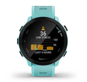 Умные часы Garmin Forerunner 55 010-02562-12, голубой