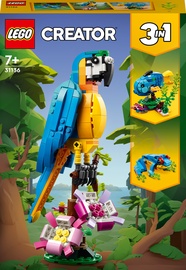 Konstruktors LEGO Creator 3in1 Eksotisks papagailis 31136