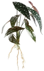 Искусственное растение Eurofirany 305, зеленый, 45 см