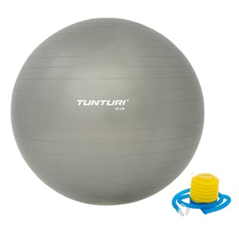 Гимнастический мяч Tunturi Gymball 14TUSFU277, серебристый, 650 мм