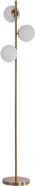 Торшер Light Prestige Dorado LP-002/3F, 40 Вт, E14