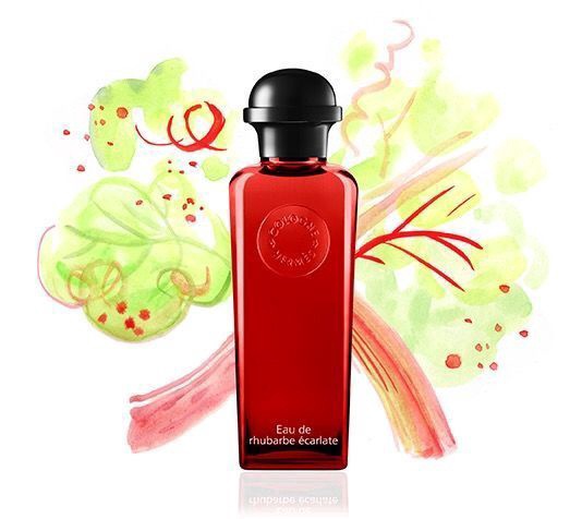 eau de rhubarbe ecarlate hermes 100ml