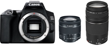 Veidrodinis fotoaparatas Canon EOS 250D + EF-S 18-55mm IS STM + EF 75-300mm III